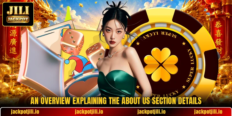 An overview explaining the about us section details