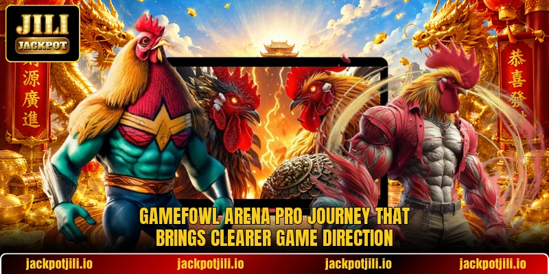 Gamefowl Arena Pro Journey That Brings Clearer Game Direction
